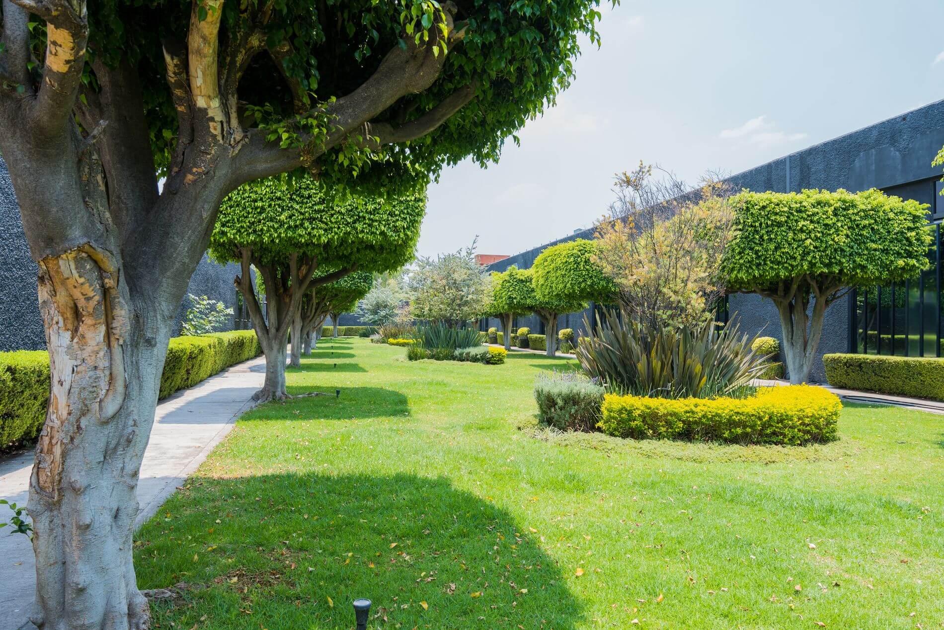 jardin_2